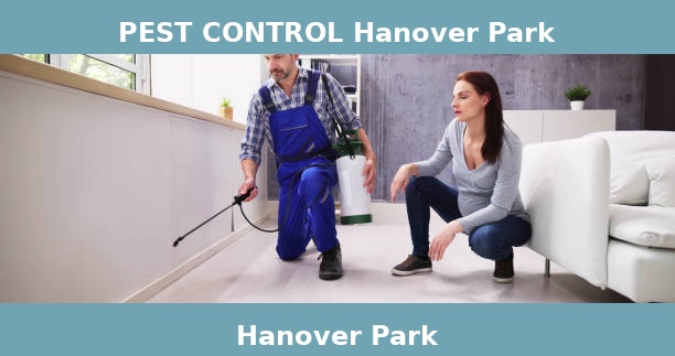 PEST CONTROL Hanover Park